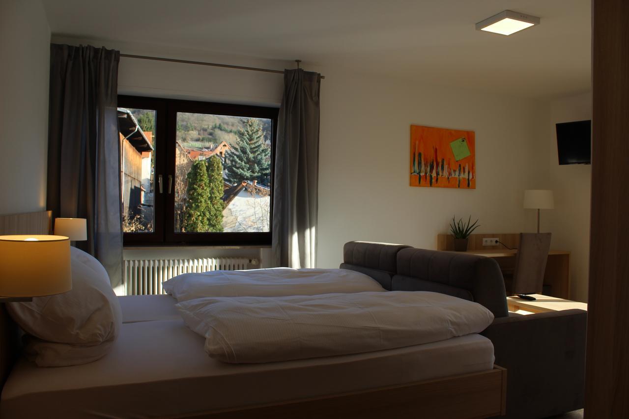 Gasthof Und Pension Zum Loewen 히르슈베르크안더베르그슈트라제 외부 사진